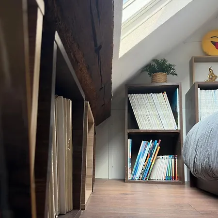 Le Perchoir De St-antoine Appartement Honfleur